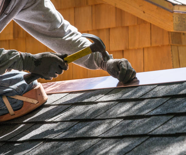 Best Roof Gutter Cleaning  in Conesus Lake, NY